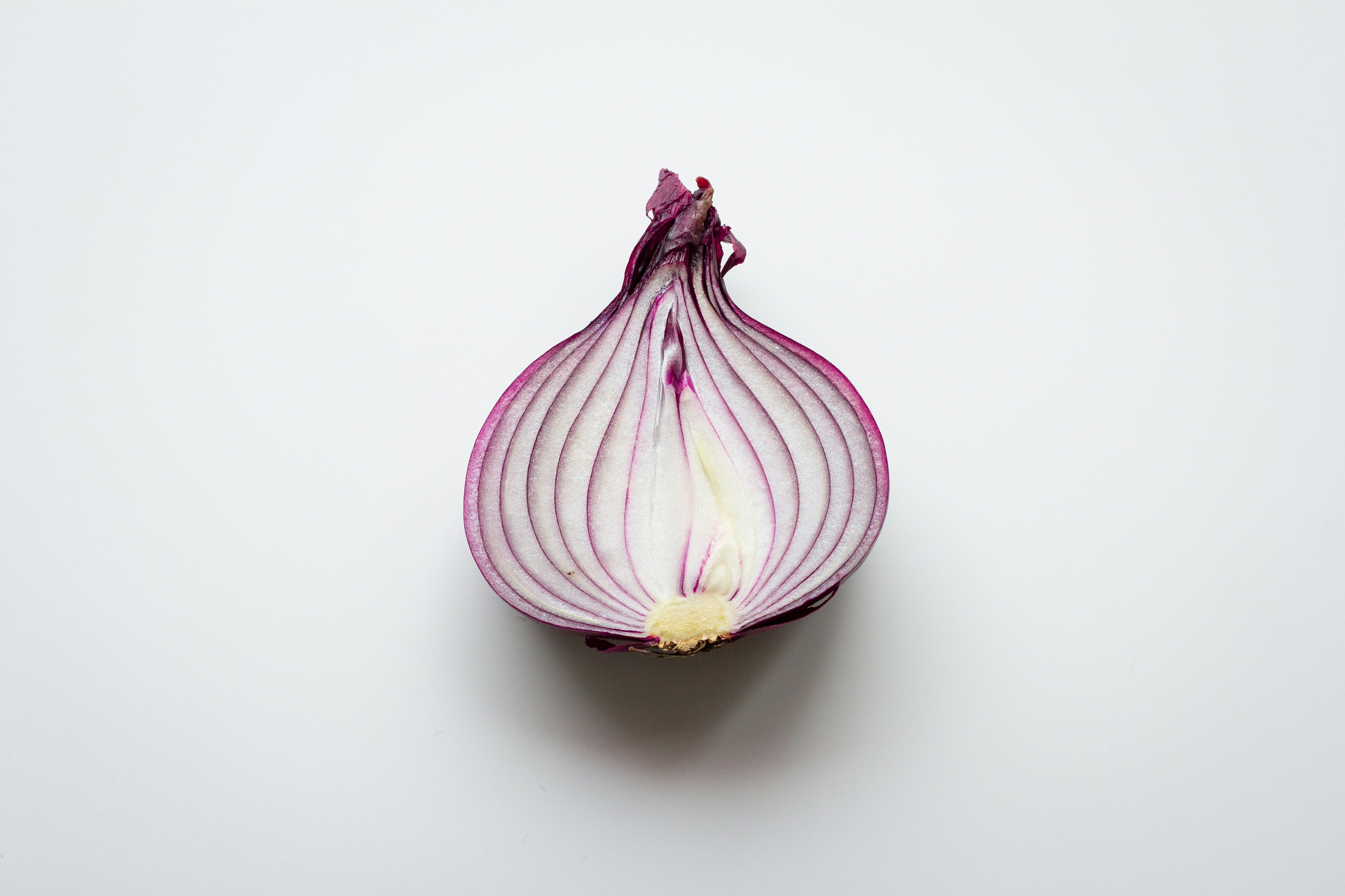 Security Onion network security monitoring platform